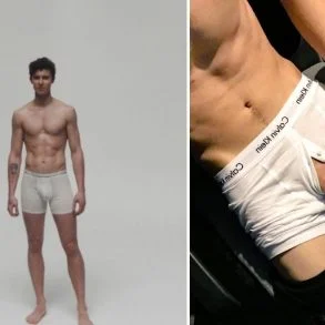 Huge penis photo of Shawn Mendes got leaked in underwear